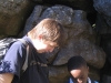 table-mountain-034