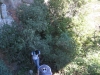 table-mountain-062