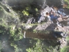 table-mountain-070