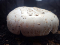 20181215_095744