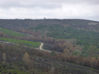 P1000131