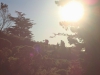 20140405_0078