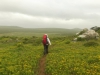 postberg010