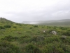 postberg011