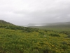 postberg012