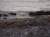 postberg015