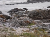postberg016