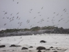 postberg019