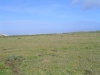 postberg024