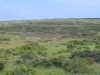 postberg029