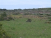 postberg030