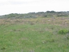 postberg031