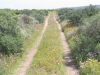 postberg041