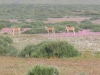 postberg051