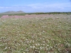 postberg052