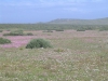 postberg054