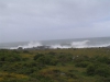 postberg059