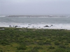 postberg066