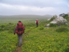 postberg067