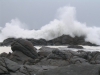 postberg078