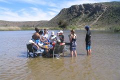 Springbok Troop Camp 2013