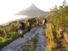 table-mountain-002