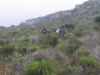 table-mountain-095