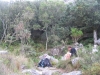 table-mountain-106