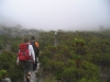 table-mountain-113