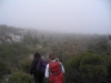 table-mountain-120