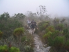 table-mountain-122